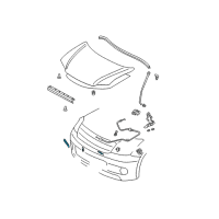 OEM 2006 Scion xA Latch Diagram - 53510-52191