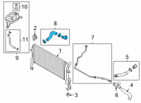 OEM 2022 Hyundai Kona HOSE ASSY-RADIATOR, LWR Diagram - 25415-J9500