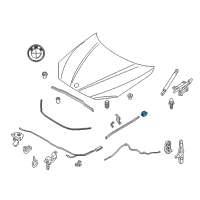 OEM 2014 BMW X1 Shaped Part, Water Box Diagram - 51-76-2-993-023