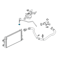 OEM Chevrolet Express 3500 Overflow Hose Clamp Diagram - 11602072