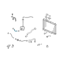 OEM 1999 Honda CR-V Hose (250MM) (ATf) Diagram - 25213-P24-007