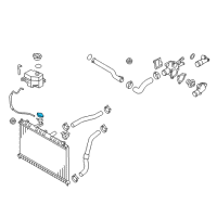 OEM 2001 Hyundai Accent Cap Assembly-Radiator Diagram - 25330-17000