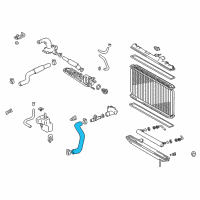 OEM Lexus RX300 Hose, Radiator, Outlet Diagram - 16572-20060