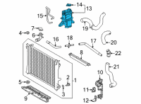 OEM Lexus NX350 Coolant Reservoir Diagram - 1647025050