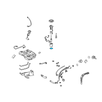 OEM Toyota Matrix Fuel Pump Assembly Gasket Diagram - 77169-52010