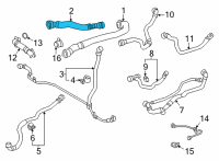 OEM 2022 Toyota GR Supra Lower Hose Diagram - 16571-WAA02