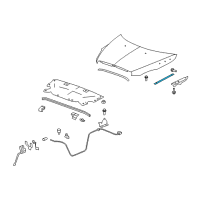 OEM 2008 Buick Enclave Support Strut Diagram - 25796763