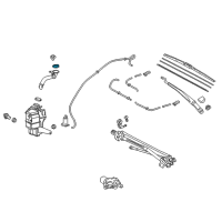 OEM 2018 Lexus IS300 Cap, Washer, A Diagram - 85316-24130