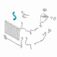 OEM BMW 740i Radiator Coolant Hose Lower Diagram - 17-12-7-605-640