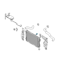 OEM 2007 Hyundai Tucson Plug-Radiator Drain Diagram - 25318-3E000