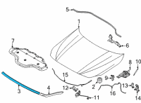 OEM 2022 BMW M235i xDrive Gran Coupe FRONT ENGINE HOOD SEALING Diagram - 51-76-7-450-915