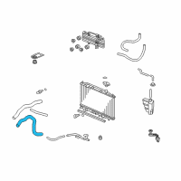 OEM 2011 Acura ZDX Hose, Water (Lower) Diagram - 19502-RP6-A00