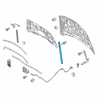 OEM 2016 Ford Taurus Lift Cylinder Diagram - AG1Z-16C826-B