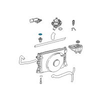 OEM Ford Mustang Thermostat O-Ring Diagram - -W702837-S300