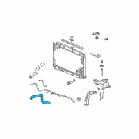 OEM 2006 Honda Odyssey Hose, Water (Lower) Diagram - 19502-RGL-A00