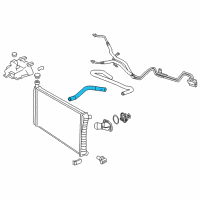 OEM 2020 Chevrolet Express 2500 Lower Hose Diagram - 15135283