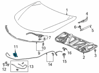 OEM 2022 Acura TLX Lock Assembly, Hood Diagram - 74120-TGV-A01