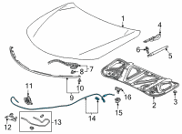 OEM 2022 Acura TLX Wire Assembly, Hood Diagram - 74130-TGV-A01