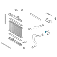 OEM 2013 Toyota Avalon Water Inlet Seal Diagram - 16325-36010