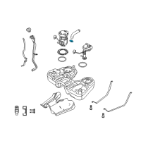 OEM Filler Hose Clamp Diagram - 5W1Z-9S295-AA