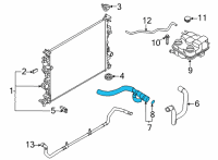 OEM Ford Maverick HOSE - RADIATOR Diagram - LX6Z-8260-B