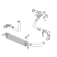 OEM Honda Band, Hose (D55.8) Diagram - 17316-6A0-A01