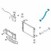 OEM 2017 Kia K900 Hose Assembly-RADAATOR Lower Diagram - 254153T000