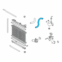 OEM 2019 Lexus RC350 Hose, Radiator, NO.2 Diagram - 16572-31450