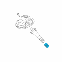 OEM Lincoln Continental TPMS Service Kits Diagram - F2GT1A163AA