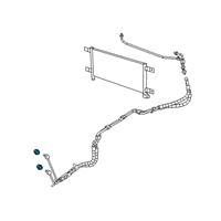 OEM Ram 2500 Fitting-Quick Connect Diagram - 55111025AB