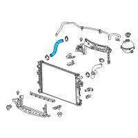 OEM Buick LaCrosse Lower Hose Diagram - 26215482