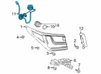 OEM 2022 Lexus NX250 SOCKET & WIRE, RR CO Diagram - 81555-78180