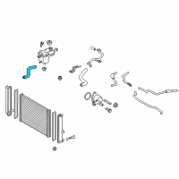 OEM Toyota Prius V Lower Hose Diagram - 16572-37120