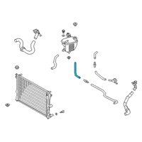 OEM Lexus Hose, Water By-Pass Diagram - 16267-24020