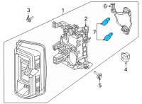 OEM Ford Bronco Tail Lamp Bulb Diagram - JL3Z-13466-D