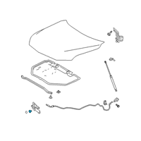 OEM 2019 Toyota Avalon Latch Diagram - 53510-07030