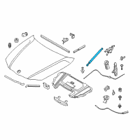 OEM BMW 335i xDrive Gas Pressurized Spring, Hood Diagram - 51-23-7-060-550