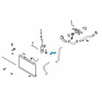 OEM 2006 Kia Spectra5 Hose-Radiator Upper Diagram - 254112F150