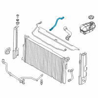 OEM BMW 435i Engine Coolant Hose Diagram - 17-12-7-648-644