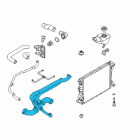 OEM 2014 Ford Mustang Lower Hose Diagram - HR3Z-8286-B