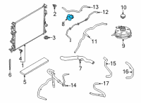 OEM 2022 Lincoln Corsair HOSE - RADIATOR Diagram - LX6Z-8286-Y