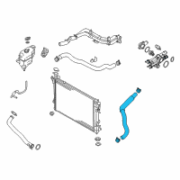 OEM 2018 Hyundai Santa Fe Sport Hose-Radiator Lower Diagram - 25412-2W700