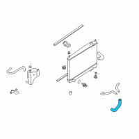 OEM 2004 Infiniti M45 Hose-Radiator, Lower Diagram - 21503-AR000