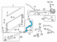 OEM 2021 Ford Bronco HOSE - RADIATOR Diagram - MB3Z-8260-E