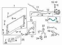 OEM Ford Bronco HOSE ASY Diagram - MB3Z-8C289-B