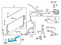 OEM Ford Bronco HOSE - RADIATOR Diagram - MB3Z-8286-E