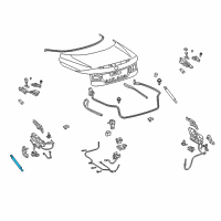 OEM 2011 Lexus IS350 Support Assembly, Luggage Diagram - 64540-53012