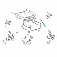 OEM 2013 Lexus IS350 Support Assembly, Luggage Diagram - 64530-53032