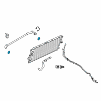 OEM Lincoln Outlet Tube Seal Diagram - FL3Z-8590-B