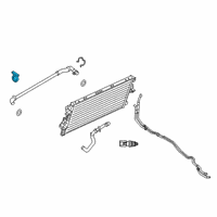 OEM Ford F-350 Super Duty By-Pass Hose Clamp Diagram - HC3Z-8W287-A